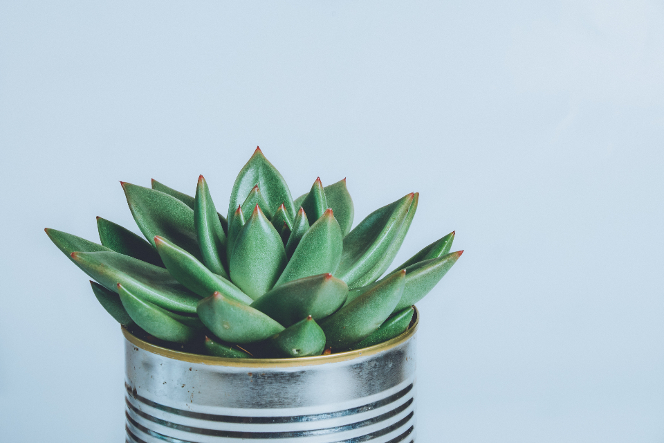 Quick Ways to Sell Your Home and Make a Great Profit